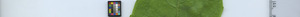 leafstrip