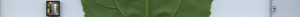 leafstrip