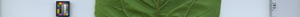leafstrip
