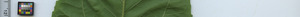 leafstrip