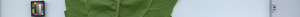 leafstrip