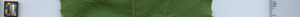 leafstrip