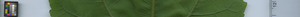 leafstrip