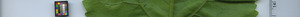 leafstrip