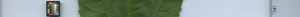 leafstrip