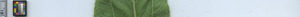 leafstrip