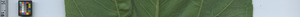 leafstrip