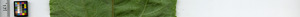 leafstrip