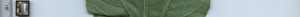 leafstrip