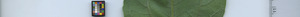 leafstrip