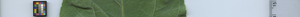 leafstrip
