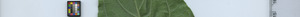 leafstrip