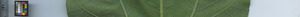 leafstrip