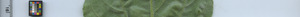leafstrip