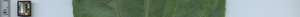 leafstrip