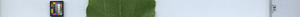leafstrip