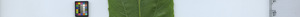 leafstrip