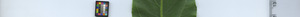 leafstrip