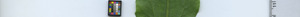 leafstrip