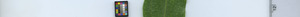 leafstrip