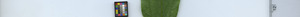 leafstrip