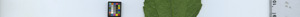 leafstrip