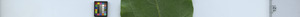 leafstrip