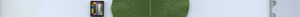 leafstrip