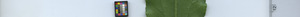 leafstrip