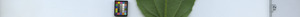 leafstrip