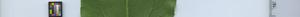 leafstrip