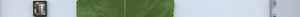 leafstrip