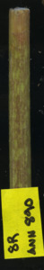 primarybranch