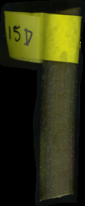 primarybranch