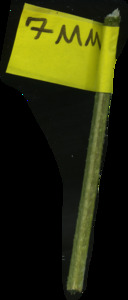 primarybranch