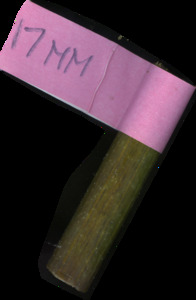 primarybranch