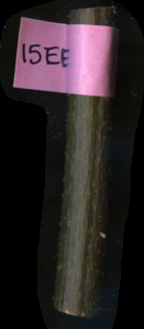 primarybranch