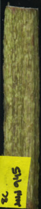 primarybranch