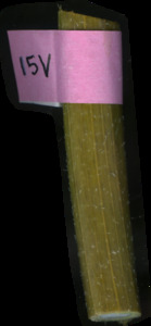 primarybranch