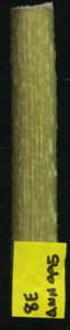 primarybranch