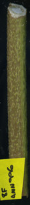 primarybranch