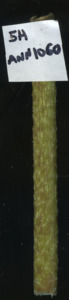 primarybranch
