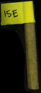 primarybranch