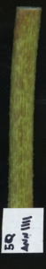 primarybranch