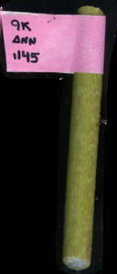 primarybranch