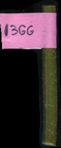 primarybranch
