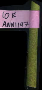 primarybranch