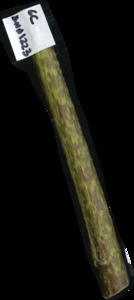 primarybranch