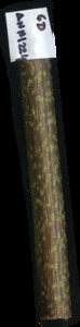 primarybranch