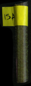 primarybranch